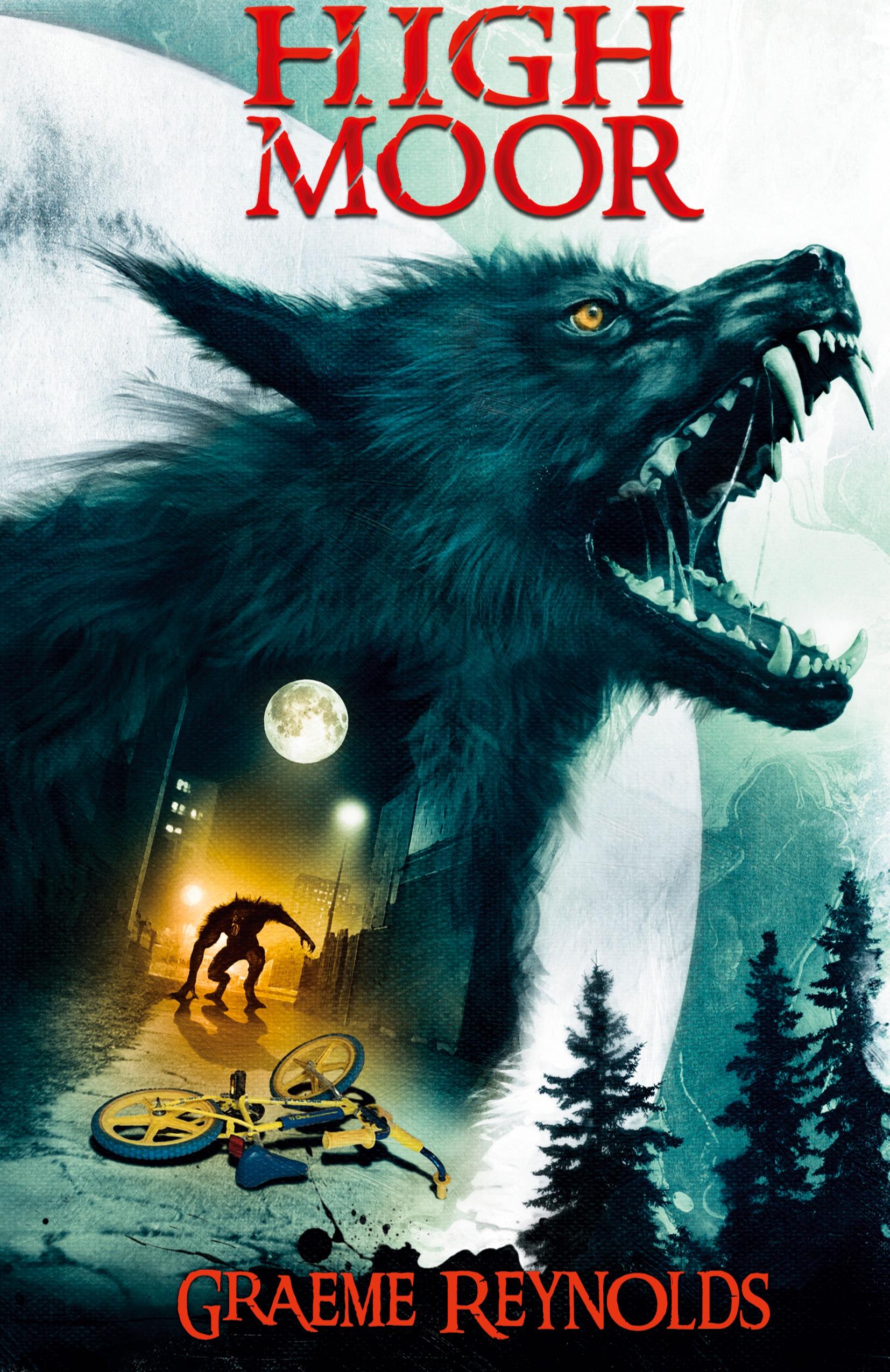 Vorderes Coverbild High Moor