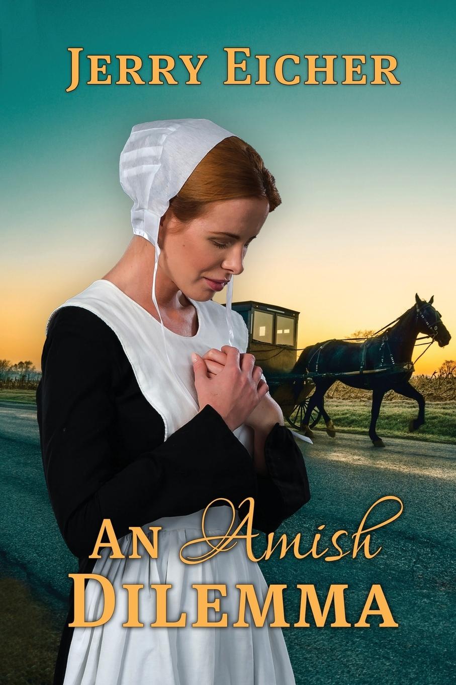 Vorderes Coverbild An Amish Dilemma