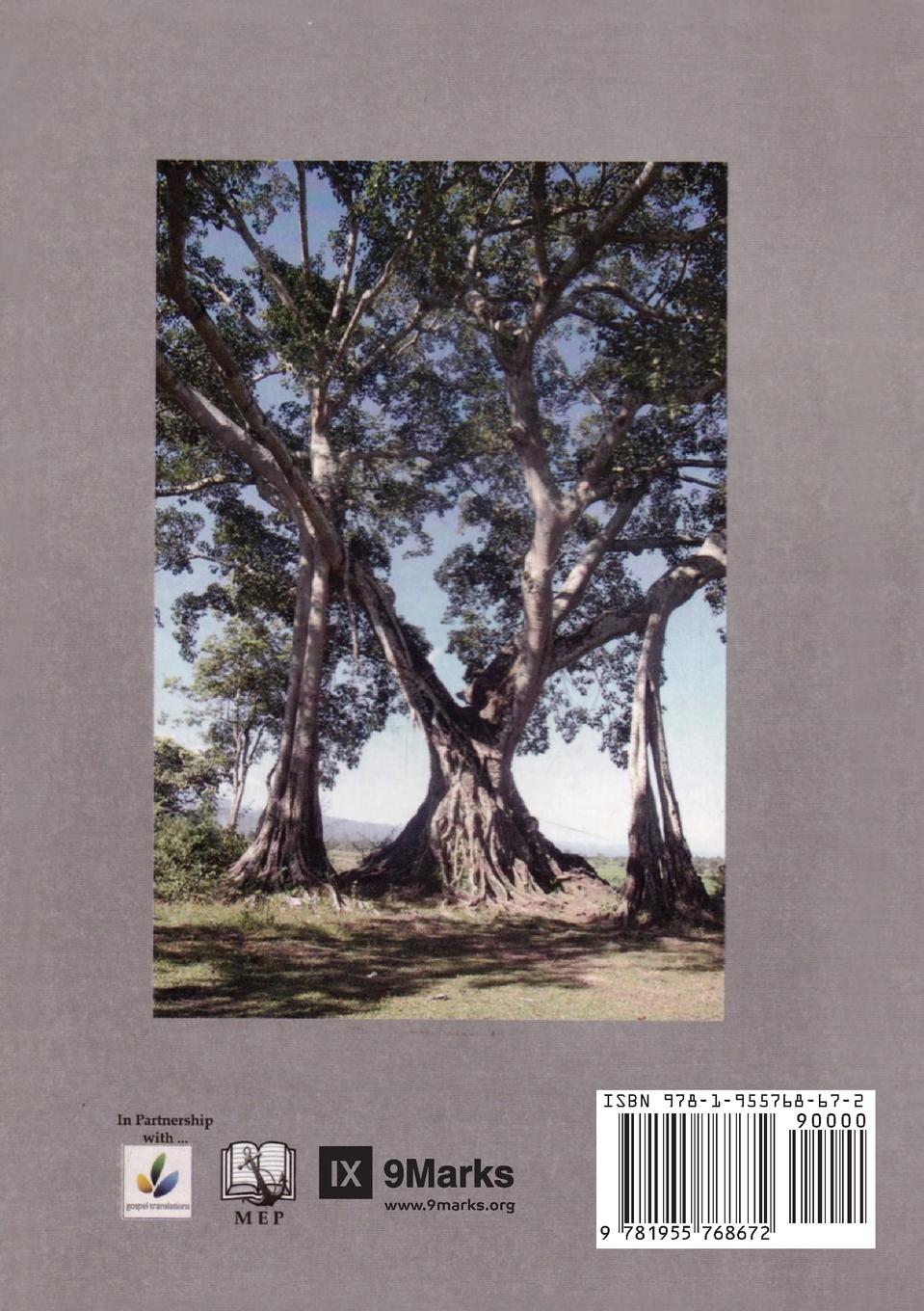 Rückseitencover Nine Marks of a Healthy Church (Burmese)