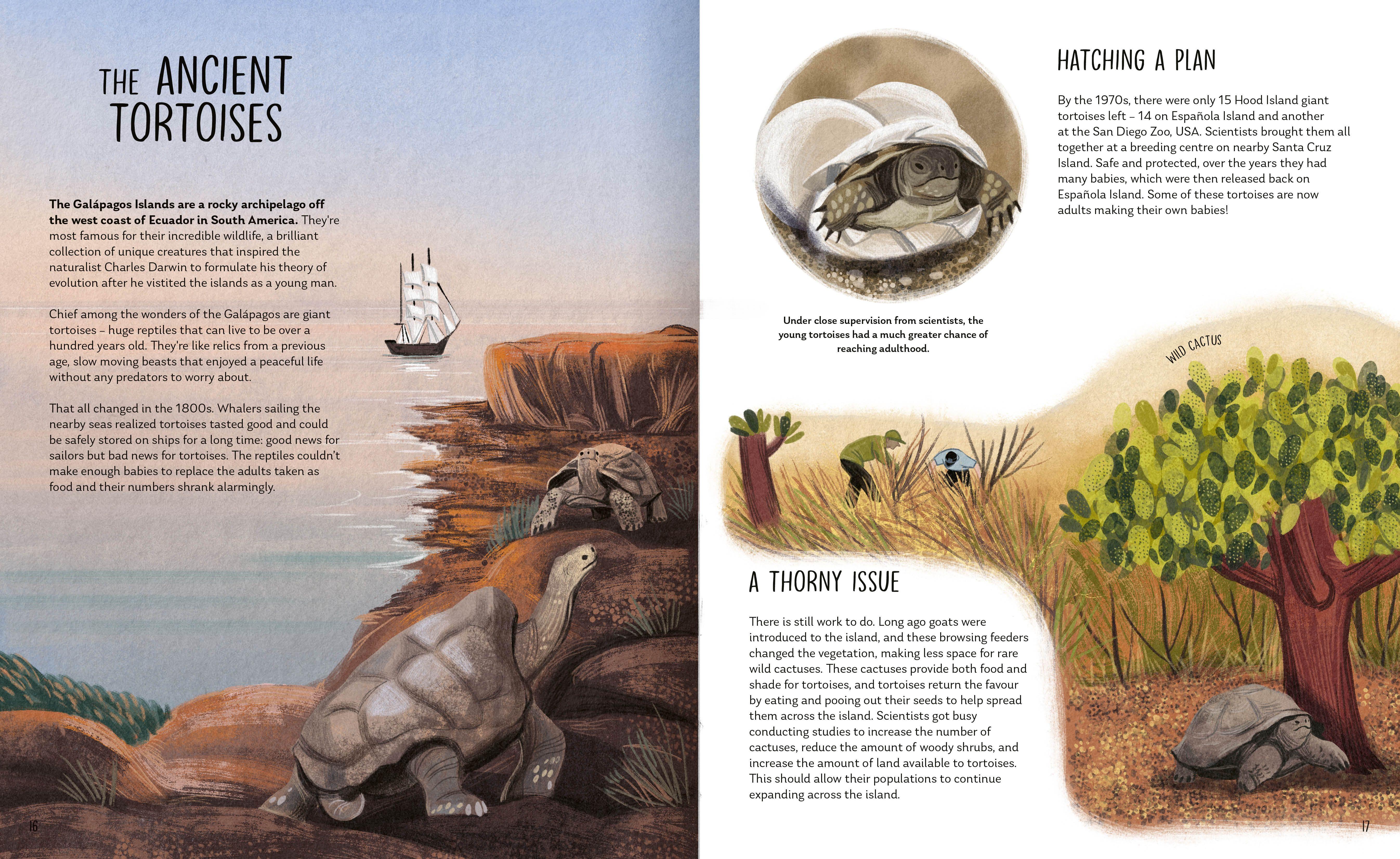 Beispielinhalt (Bild) Rewilding