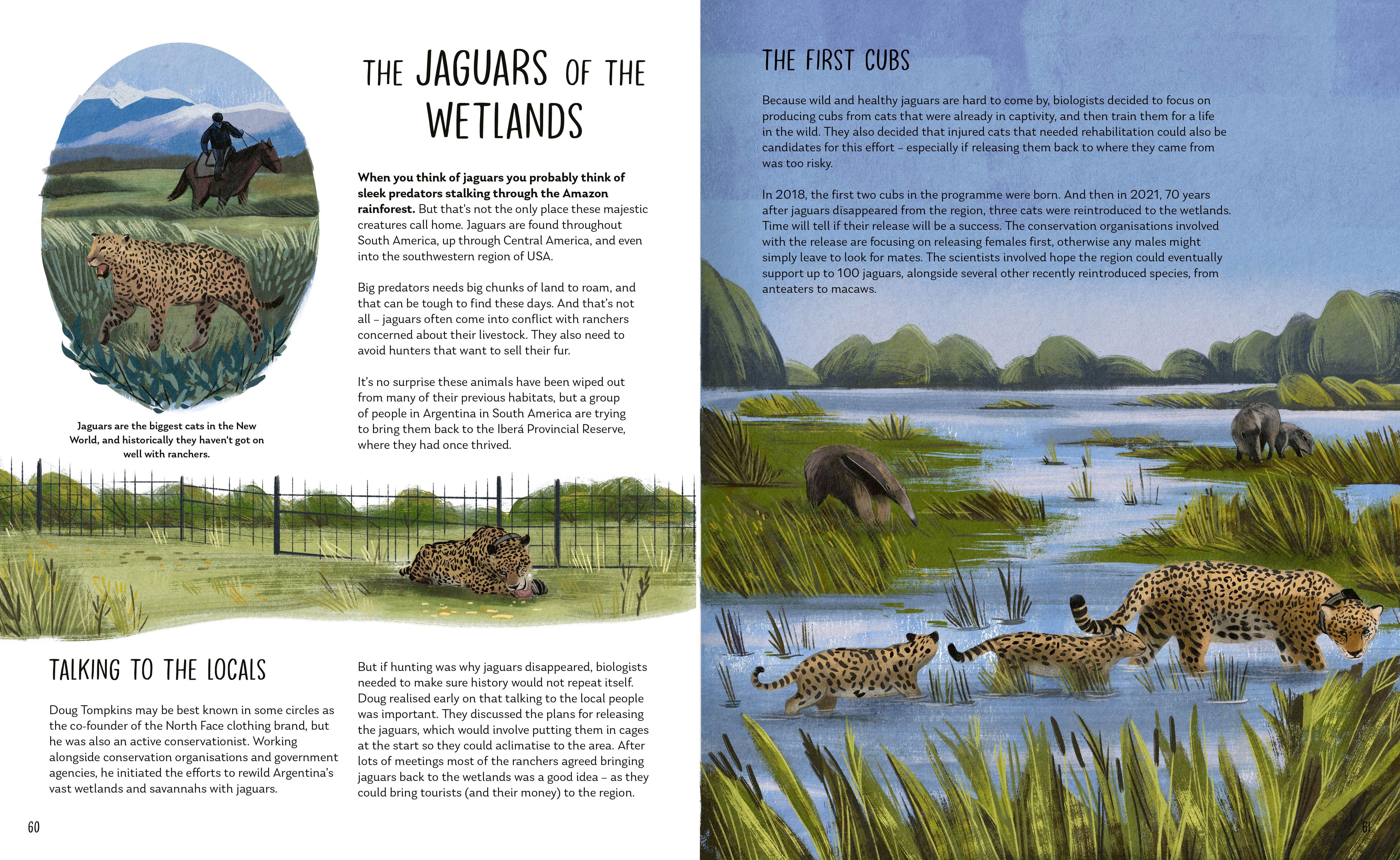 Beispielinhalt (Bild) Rewilding