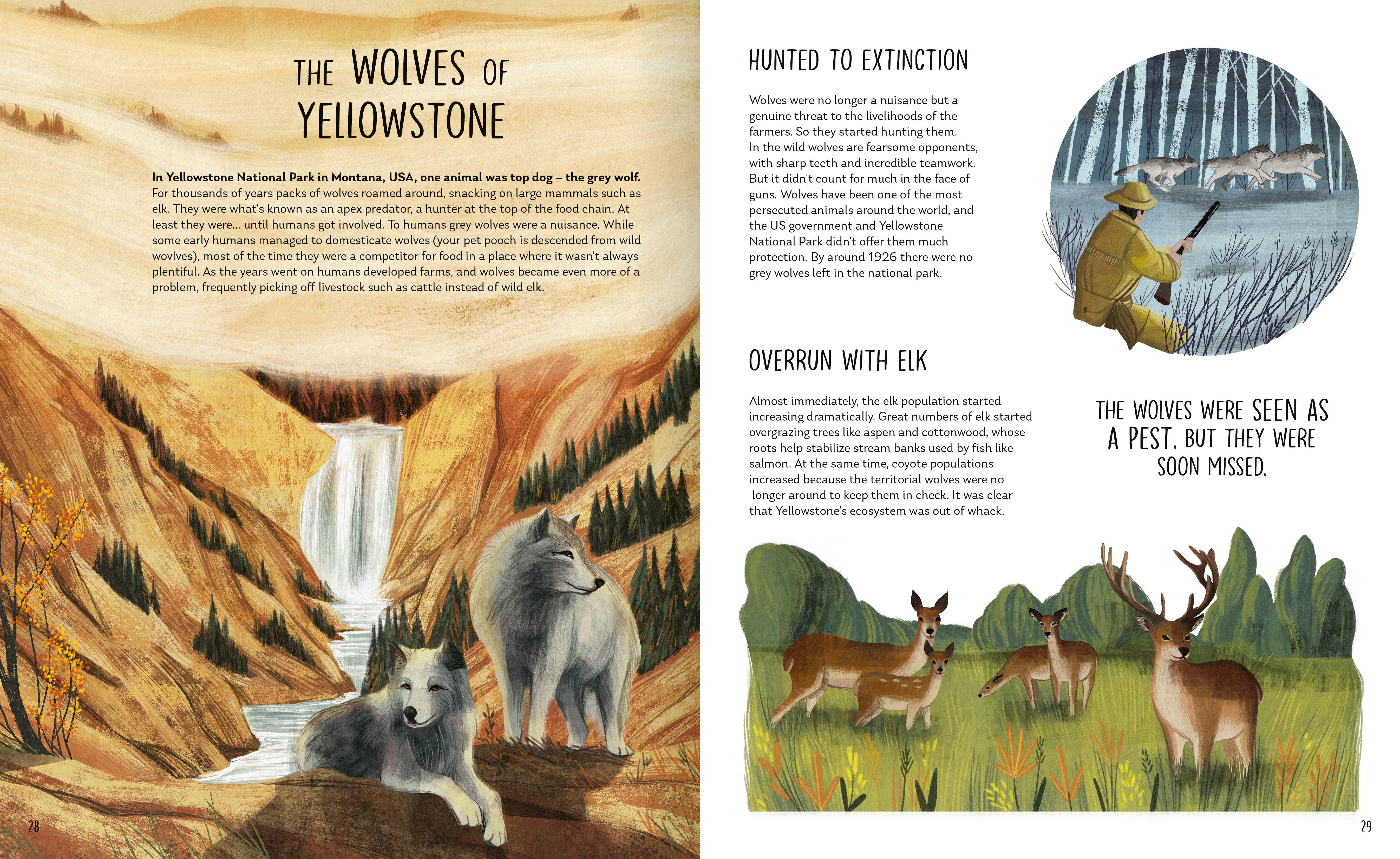 Beispielinhalt (Bild) Rewilding