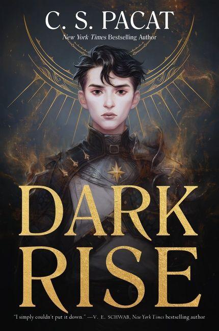 Vorderes Coverbild Dark Rise