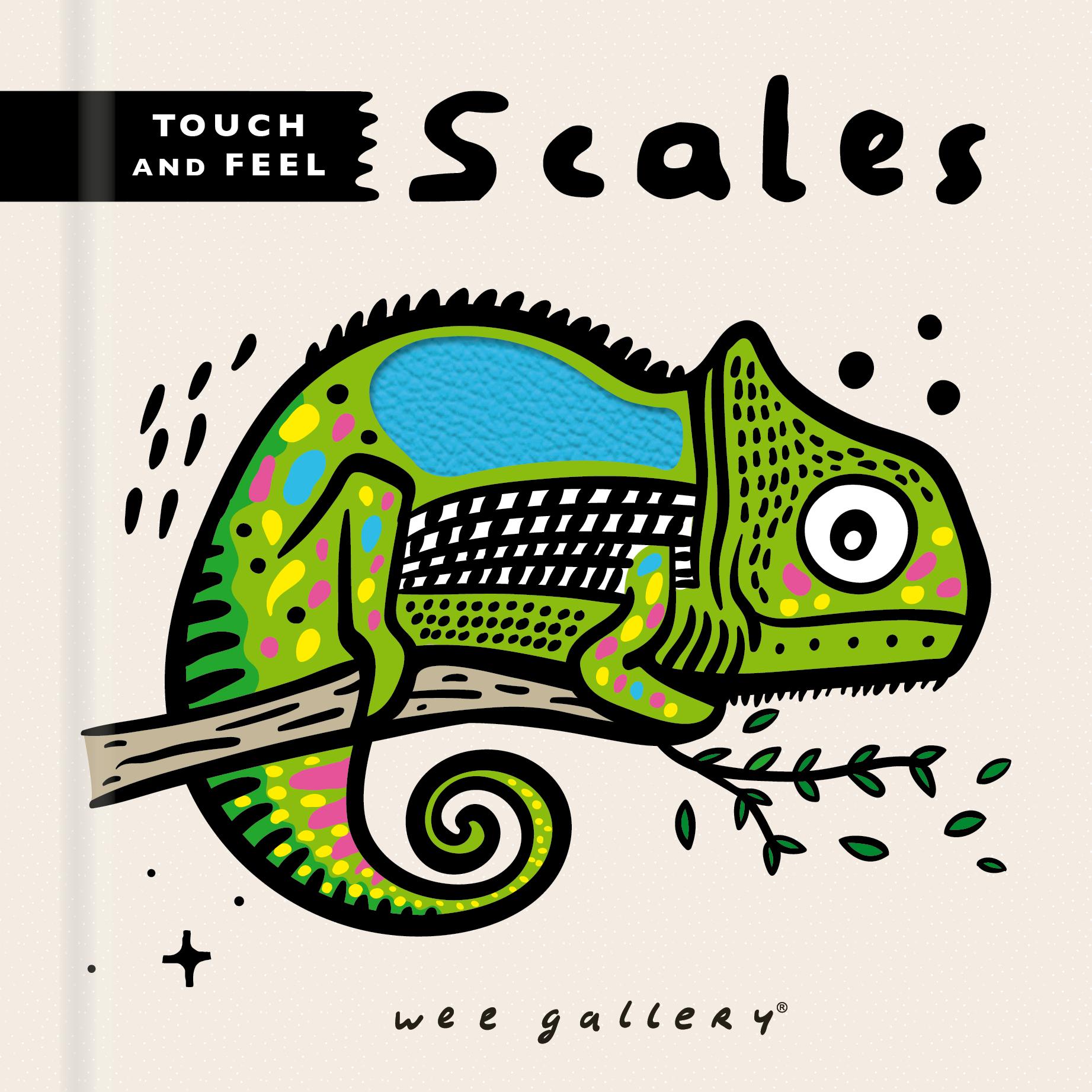 Vorderes Coverbild Wee Gallery Touch and Feel: Scales