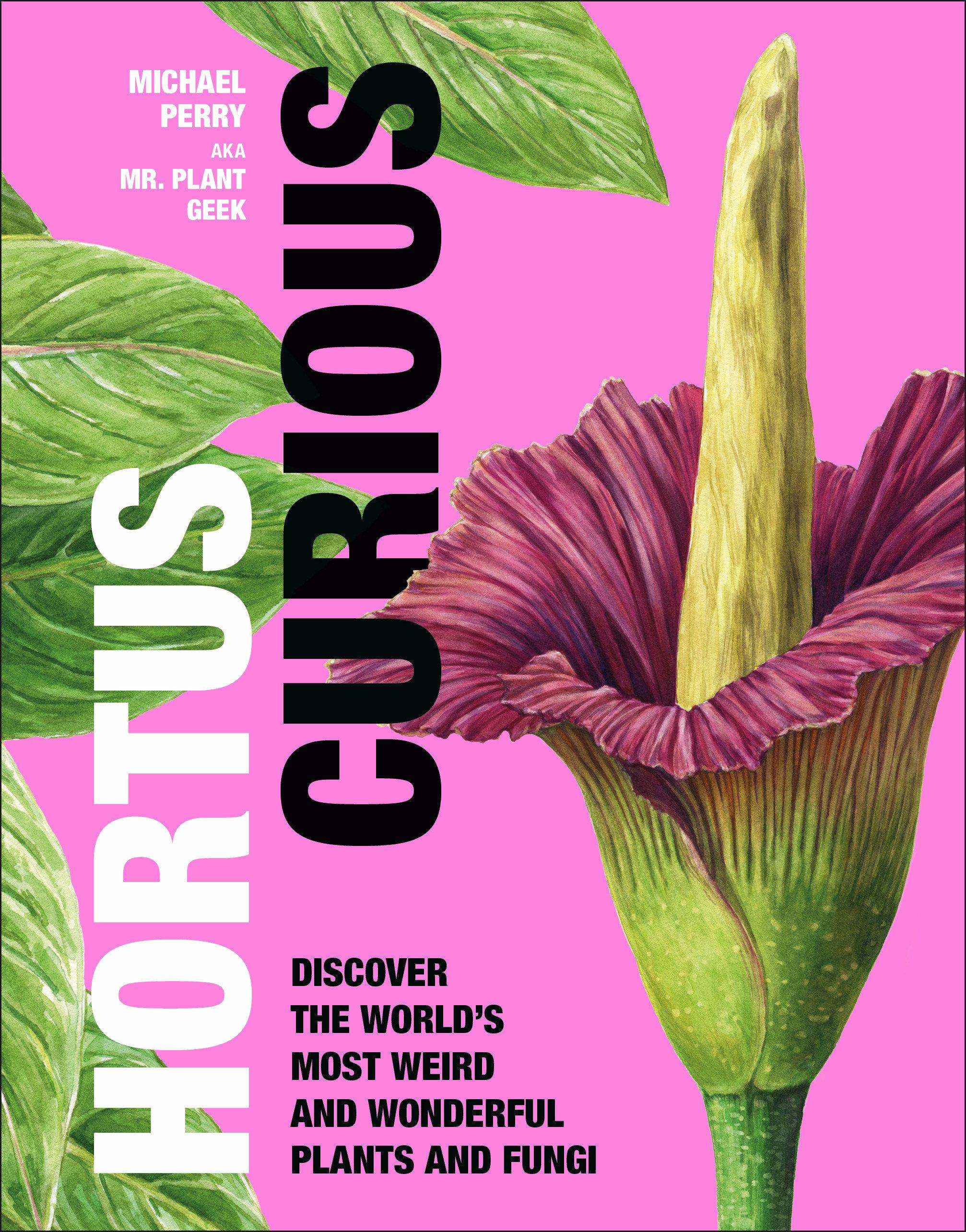 Vorderes Coverbild Hortus Curious