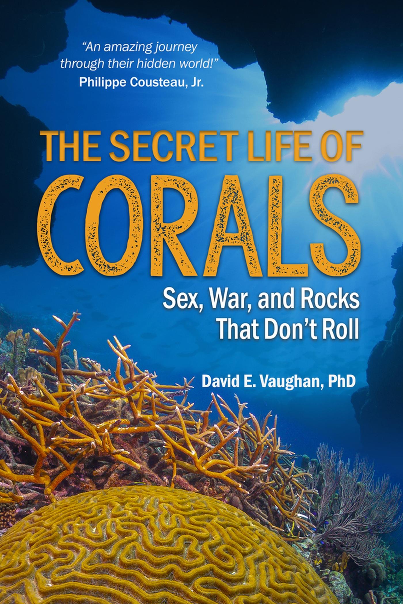 Vorderes Coverbild The Secret Life of Corals