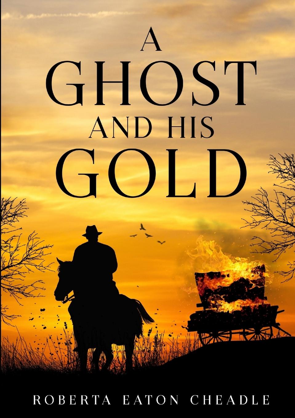 Vorderes Coverbild A Ghost and His Gold