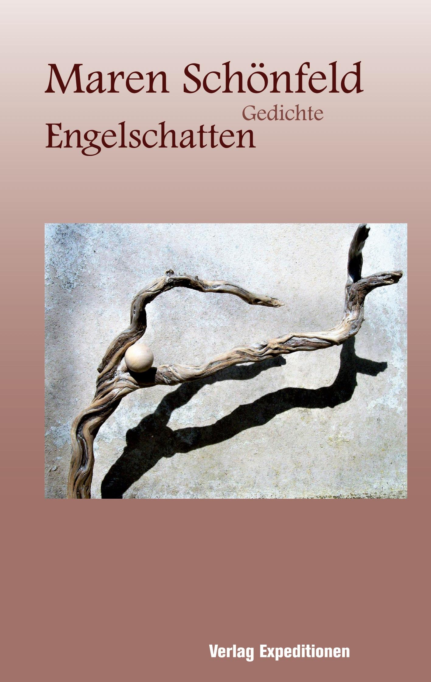 Vorderes Coverbild Engelschatten