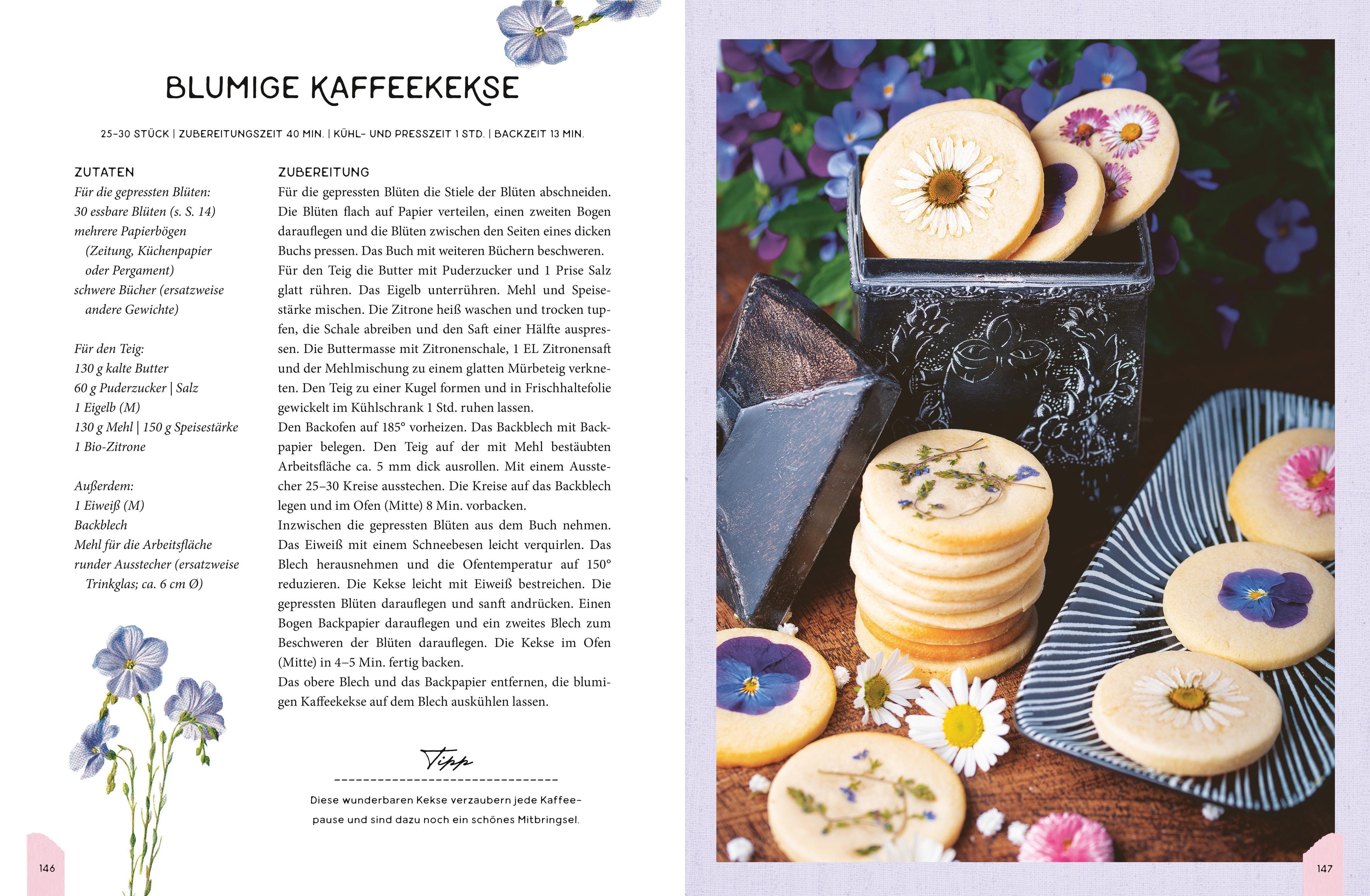 Beispielinhalt (Bild) Pâtisserie de luxe