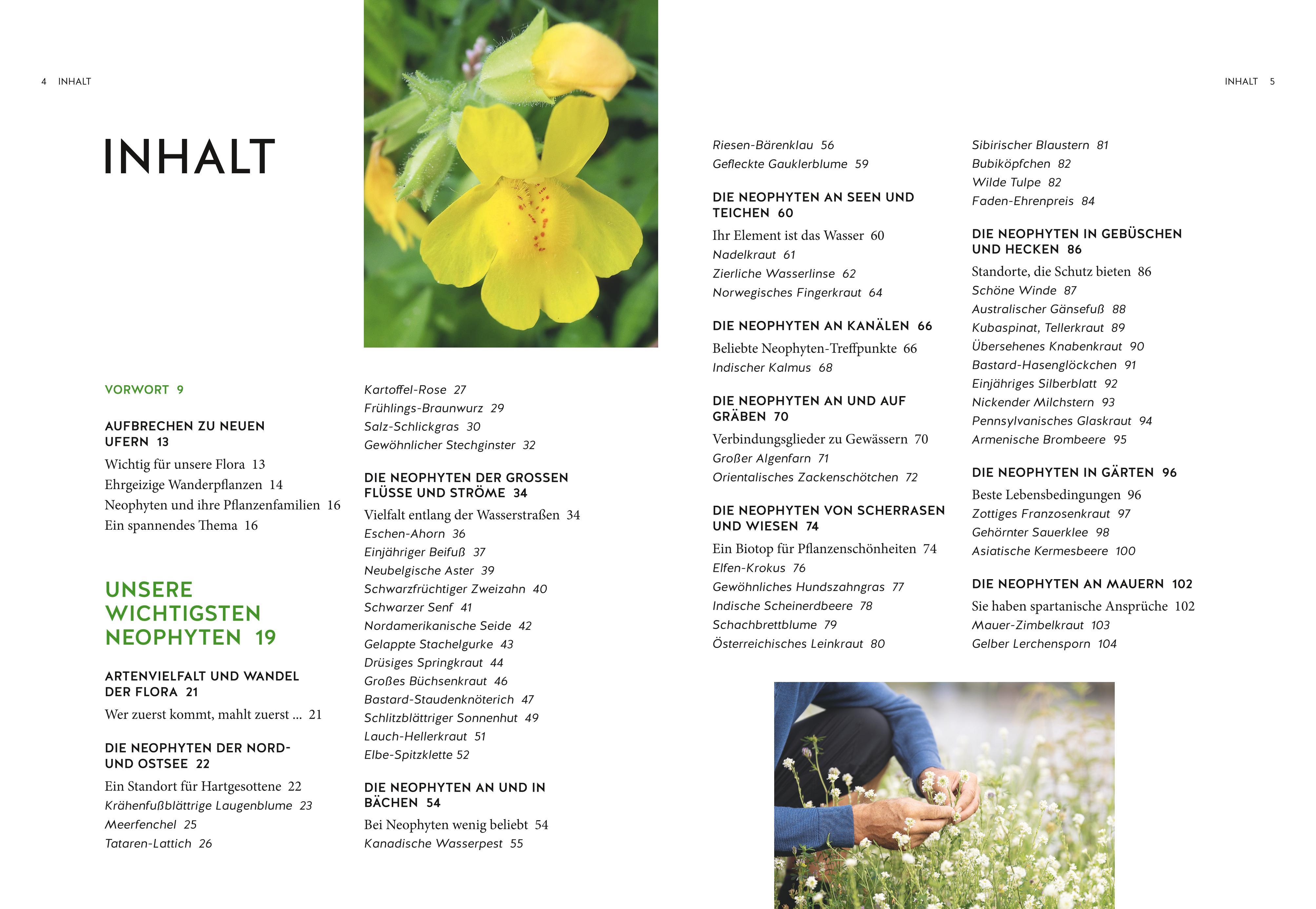 Beispielinhalt (Bild) Der Segen der Einwanderer