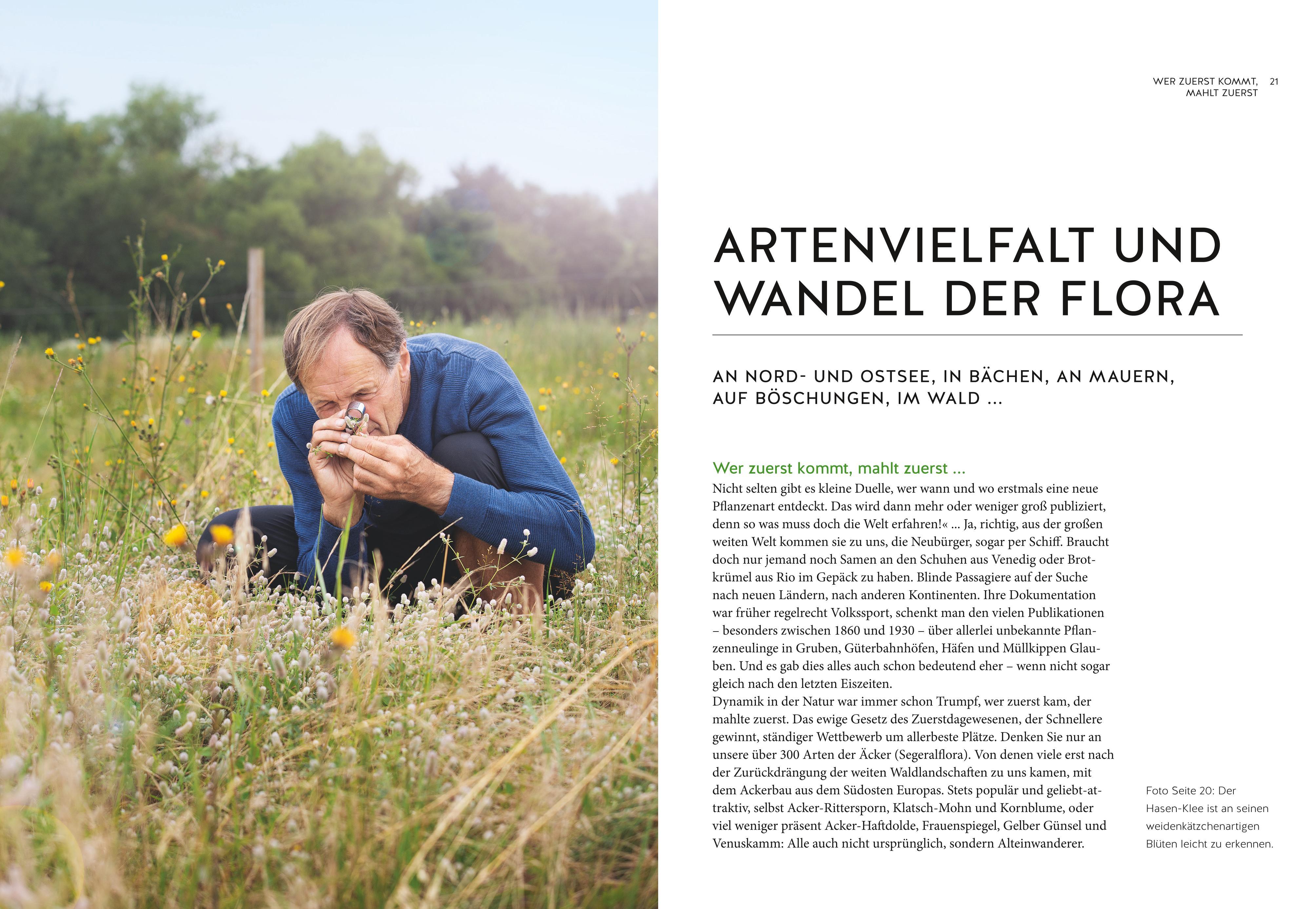Beispielinhalt (Bild) Der Segen der Einwanderer
