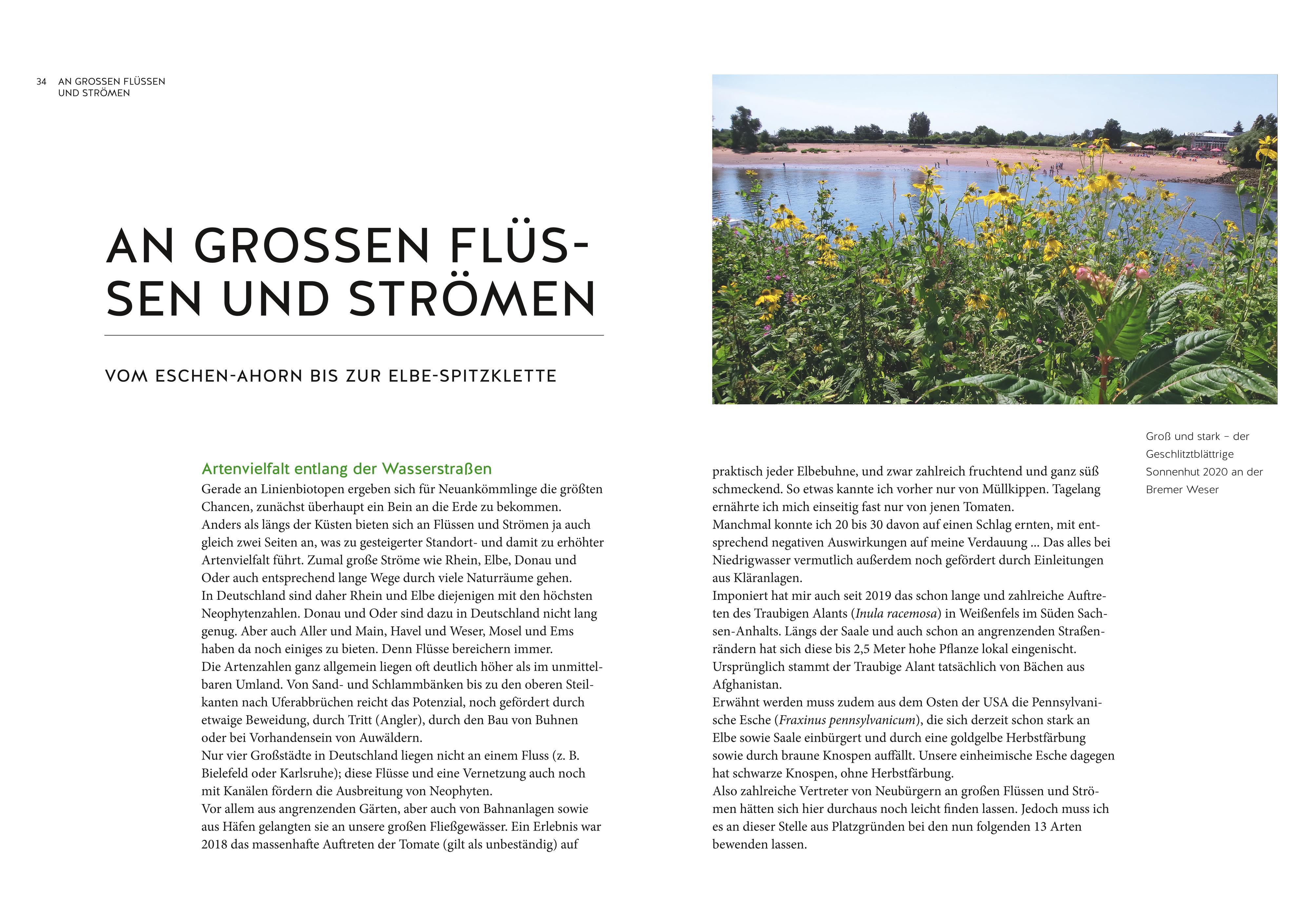 Beispielinhalt (Bild) Der Segen der Einwanderer