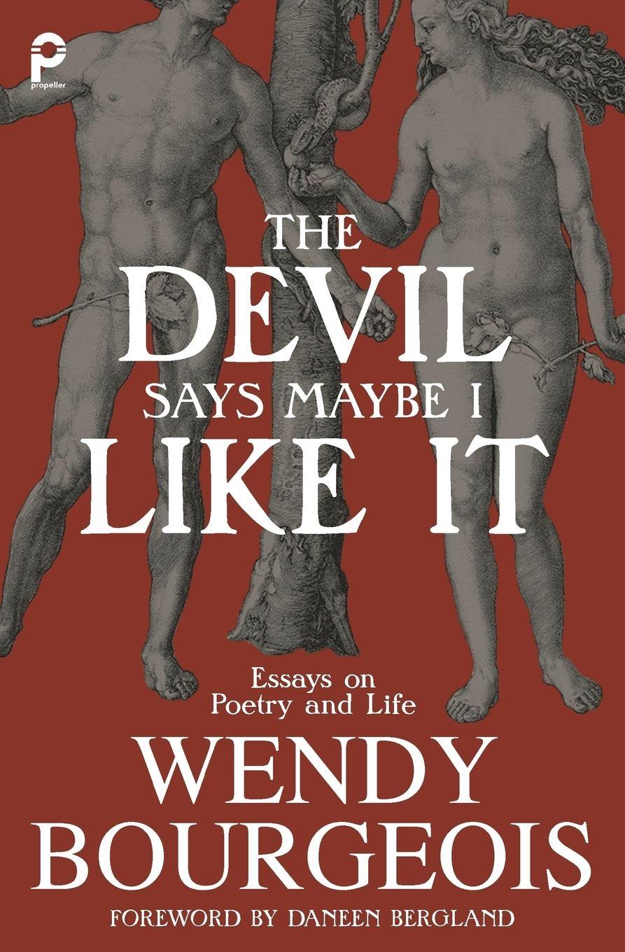 Vorderes Coverbild The Devil Says Maybe I Like It