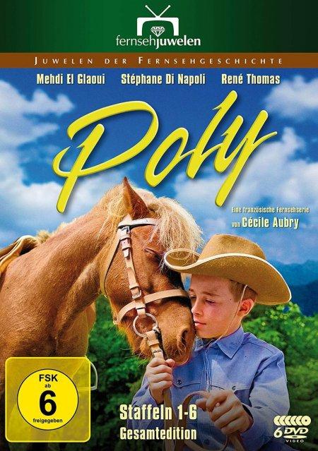 Vorderes Coverbild Poly
