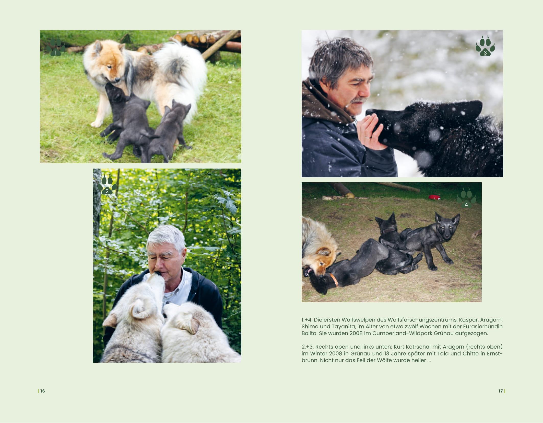 Beispielinhalt (Bild) Der Wolf und wir