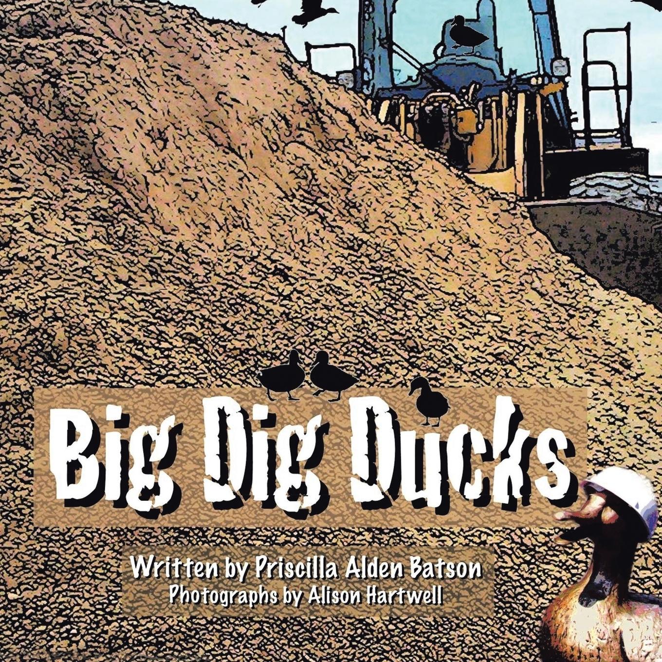 Vorderes Coverbild Big Dig Ducks