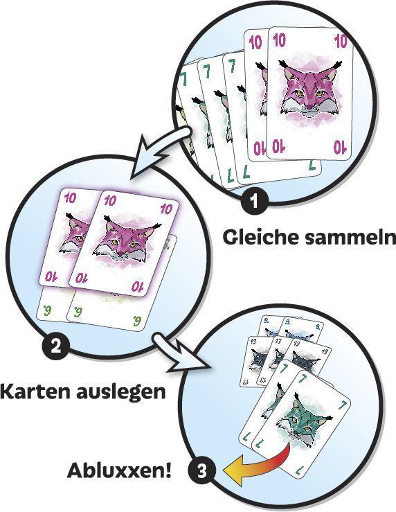 Beispielinhalt (Bild) Abluxxen
