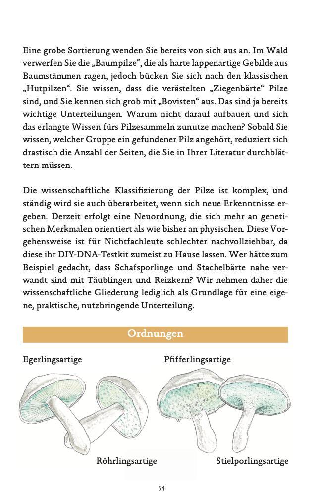 Beispielinhalt (Bild) Die häufigsten Pilze der deutschen Mittelgebirge leicht bestimmen