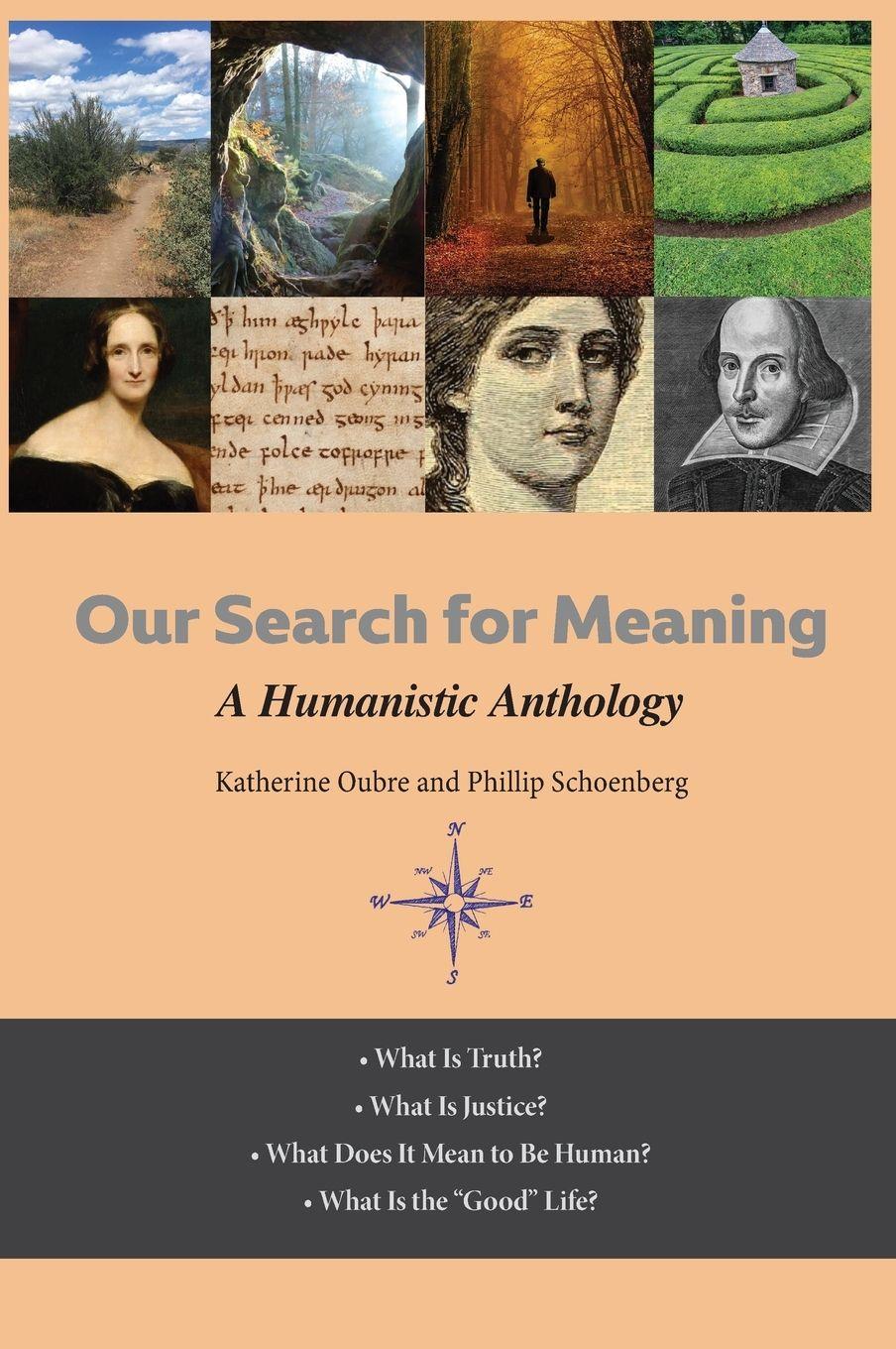 Vorderes Coverbild Our Search for Meaning