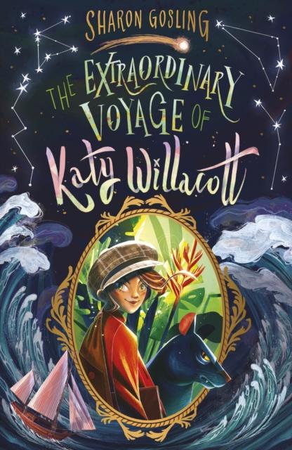 Vorderes Coverbild The Extraordinary Voyage of Katy Willacott