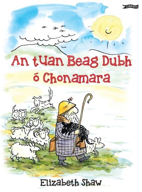 Vorderes Coverbild An Tuan Beag Dubh Ó Chonamara