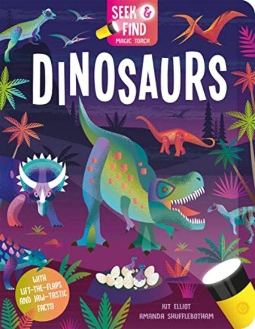 Vorderes Coverbild Seek and Find Dinosaurs