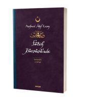 Vorderes Coverbild Fatih Kürsüsünde - Safahat 4. Kitap