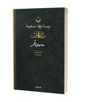 Vorderes Coverbild Asim - Safahat 6. Kitap