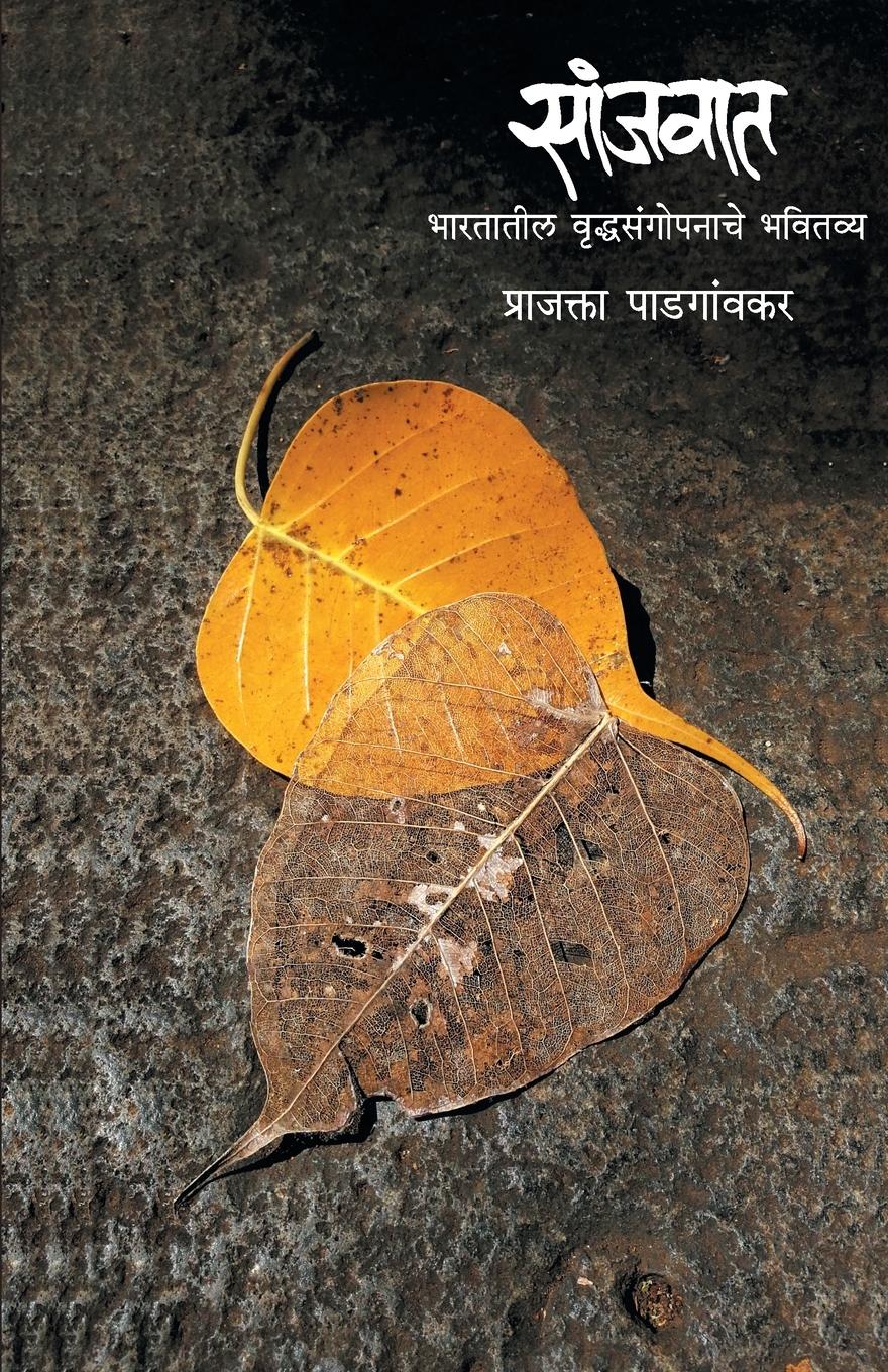 Vorderes Coverbild Sanjwat