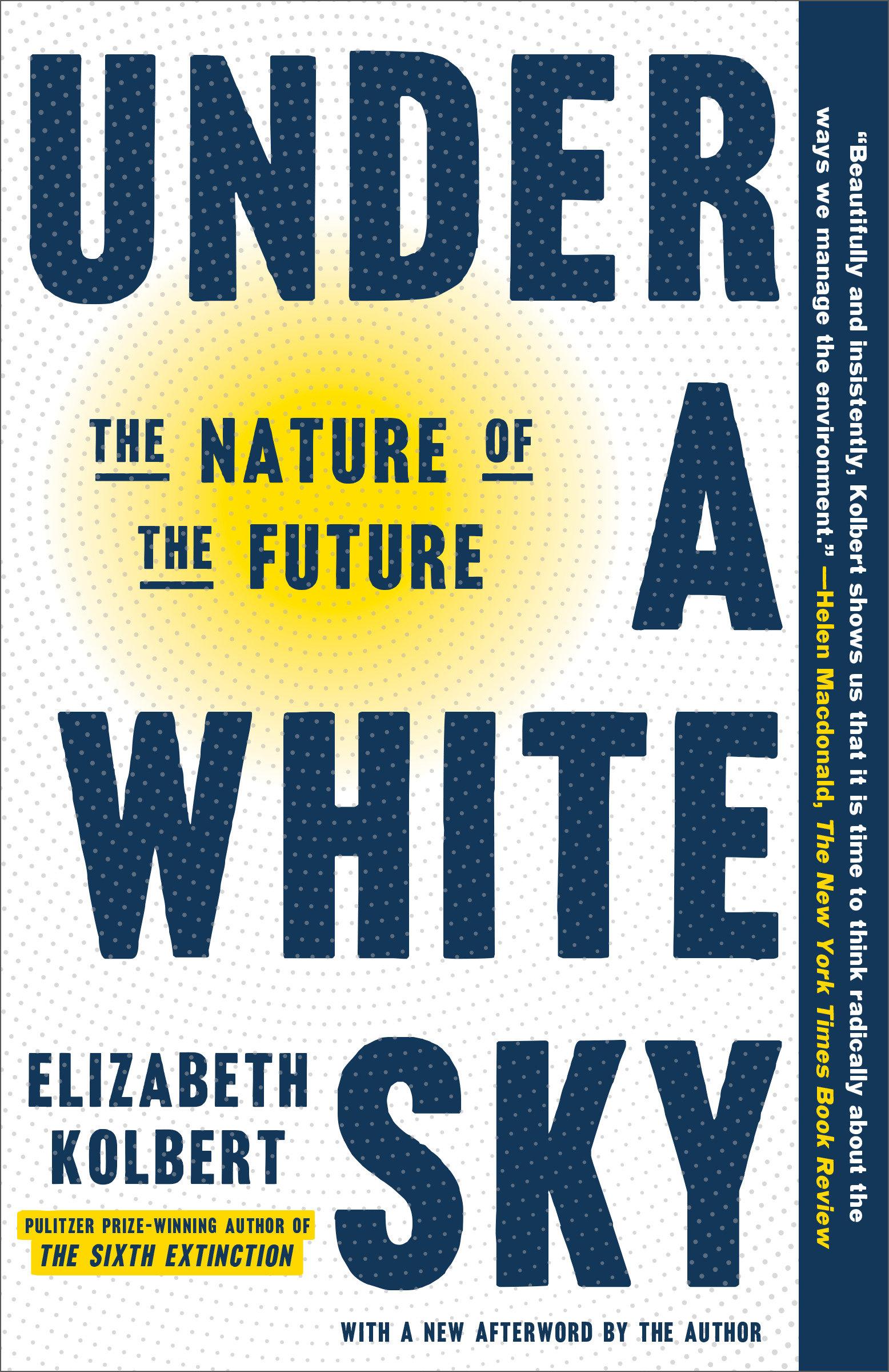 Vorderes Coverbild Under a White Sky