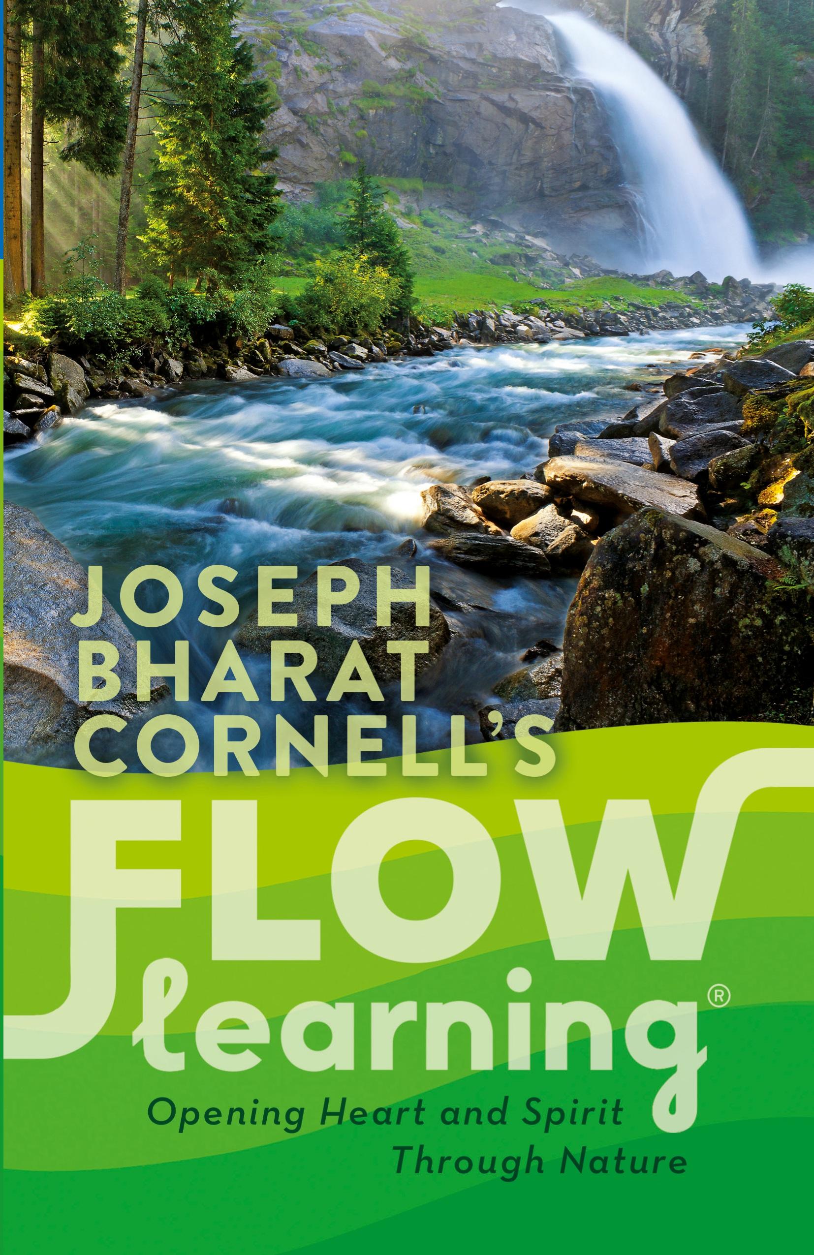 Vorderes Coverbild Flow Learning