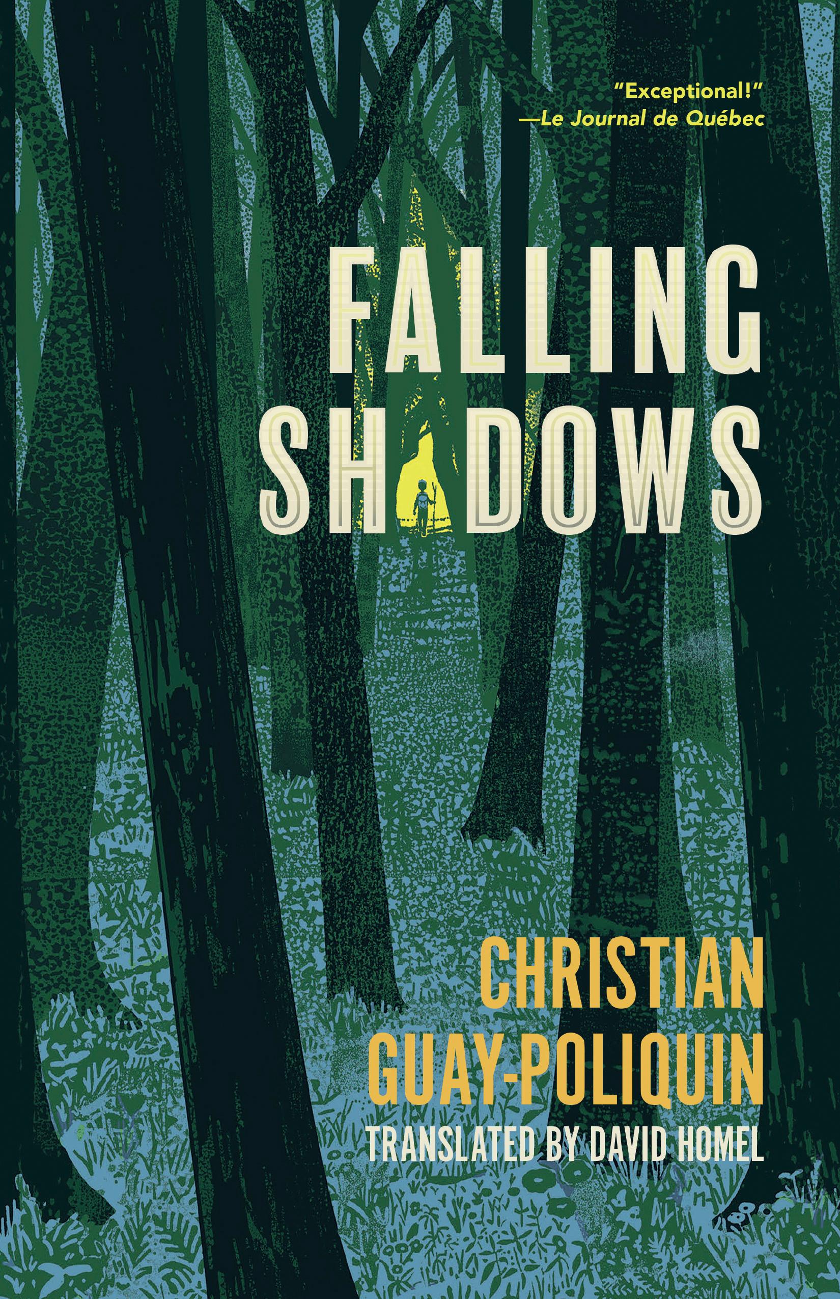 Vorderes Coverbild Falling Shadows