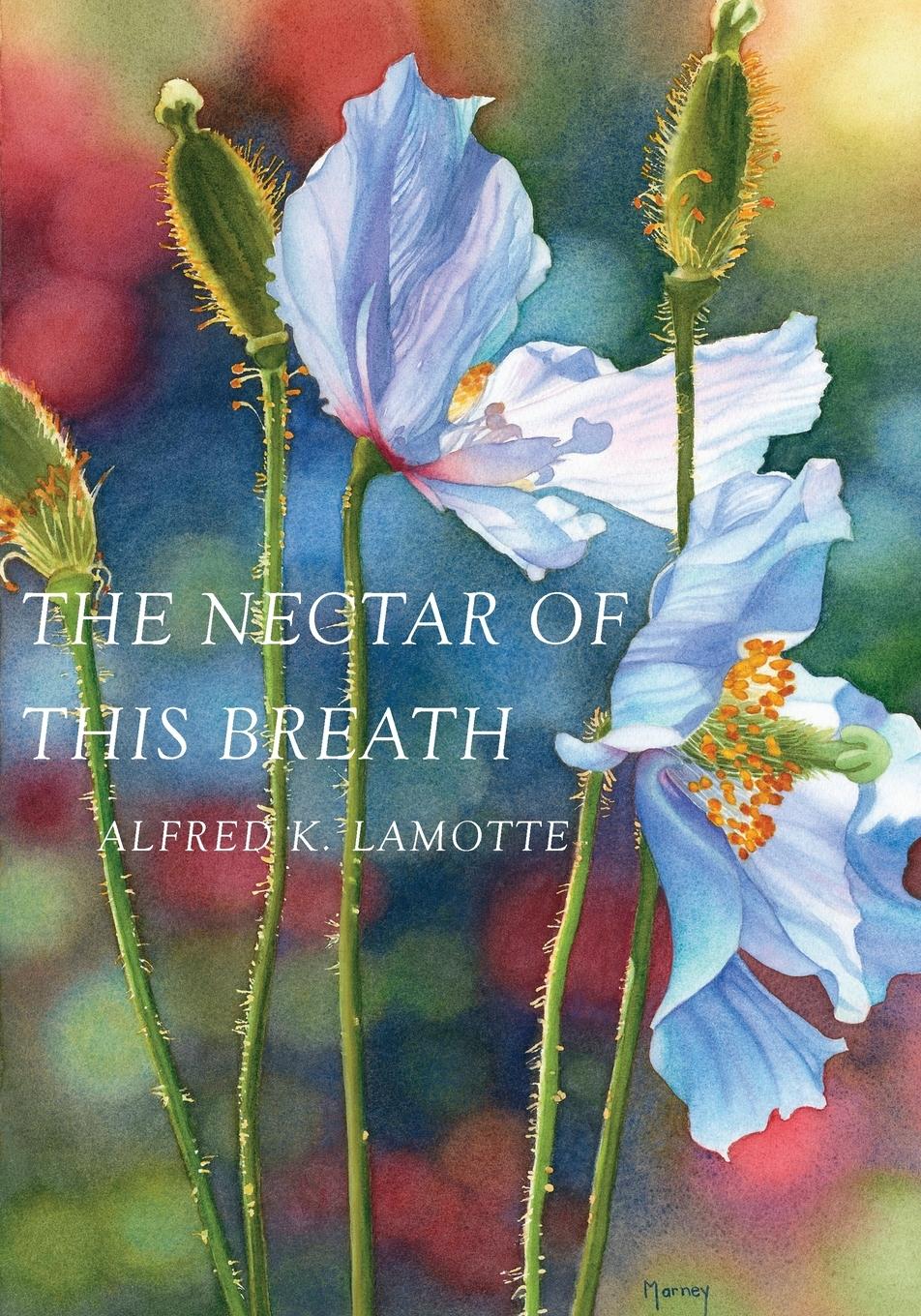 Vorderes Coverbild The Nectar of This Breath