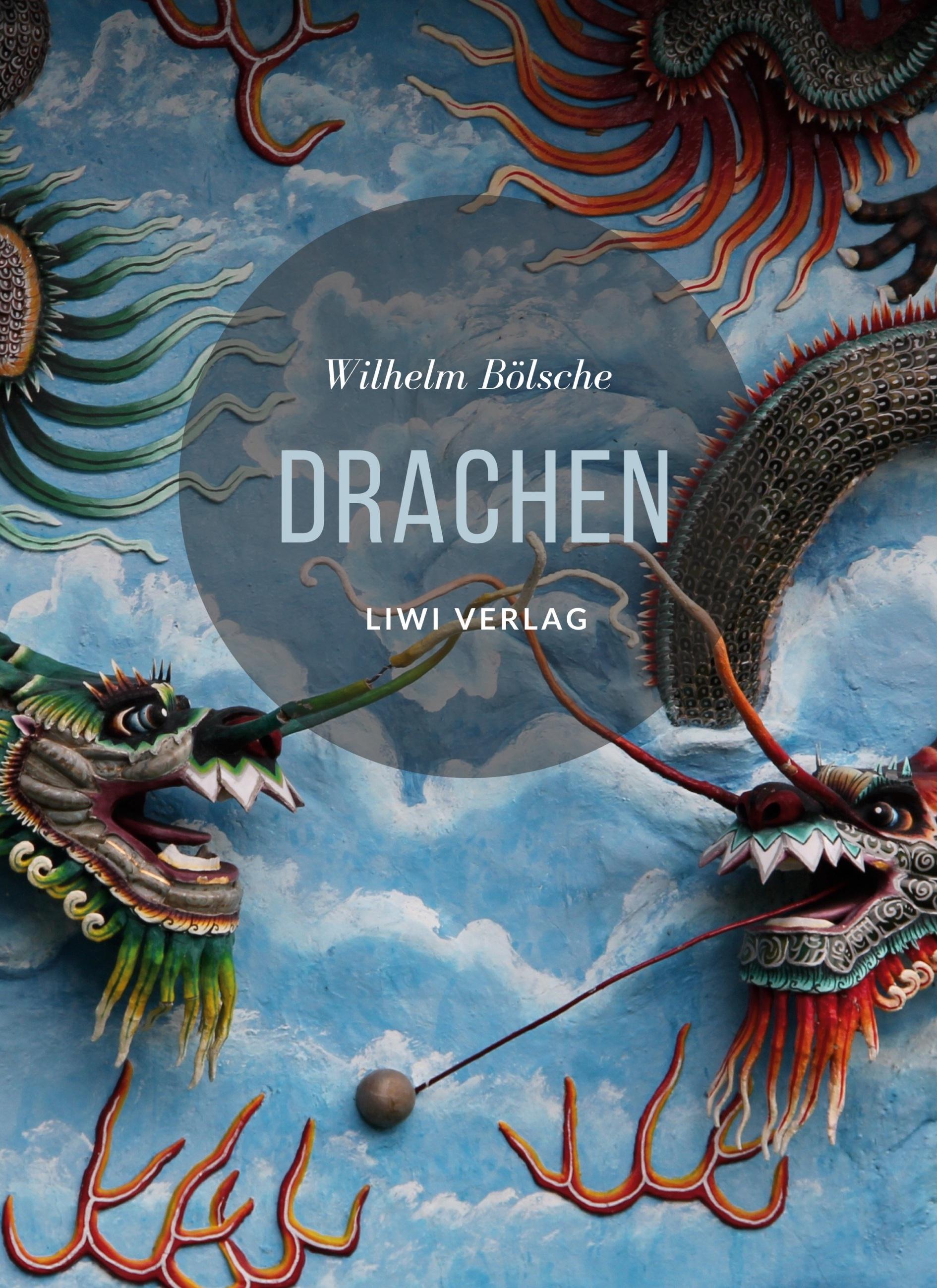 Vorderes Coverbild Drachen. Mythos und Wissenschaft