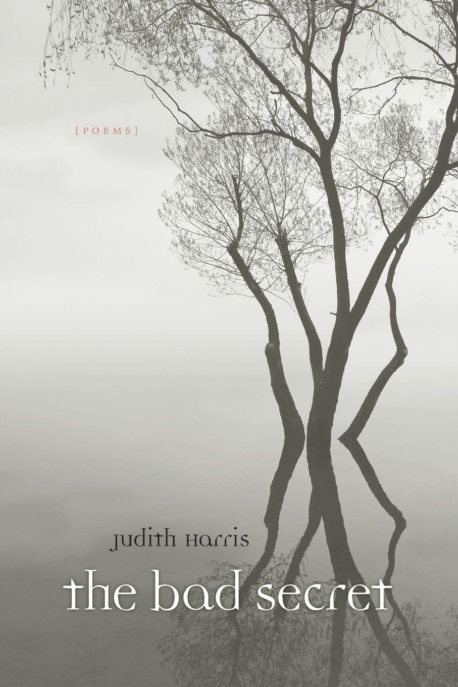 Vorderes Coverbild Bad Secret