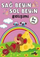 Vorderes Coverbild 5 Yas Sag Beyin-Sol Beyin Gelisimi