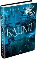 Vorderes Coverbild Kalinti 2 Ciltli