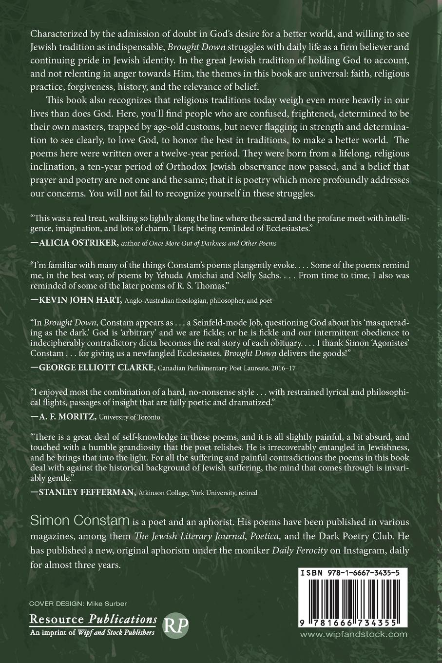 Rückseitencover Brought Down