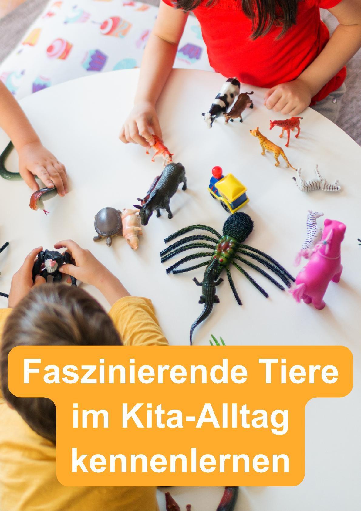 Beispielinhalt (Bild) Marienkäfer