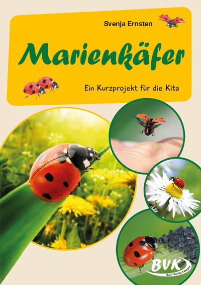 Vorderes Coverbild Marienkäfer