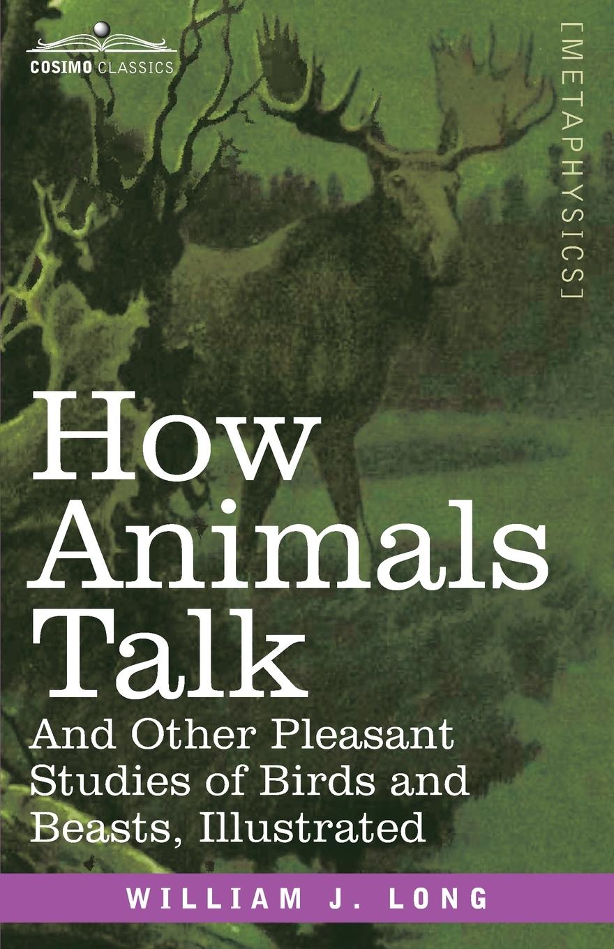 Vorderes Coverbild How Animals Talk