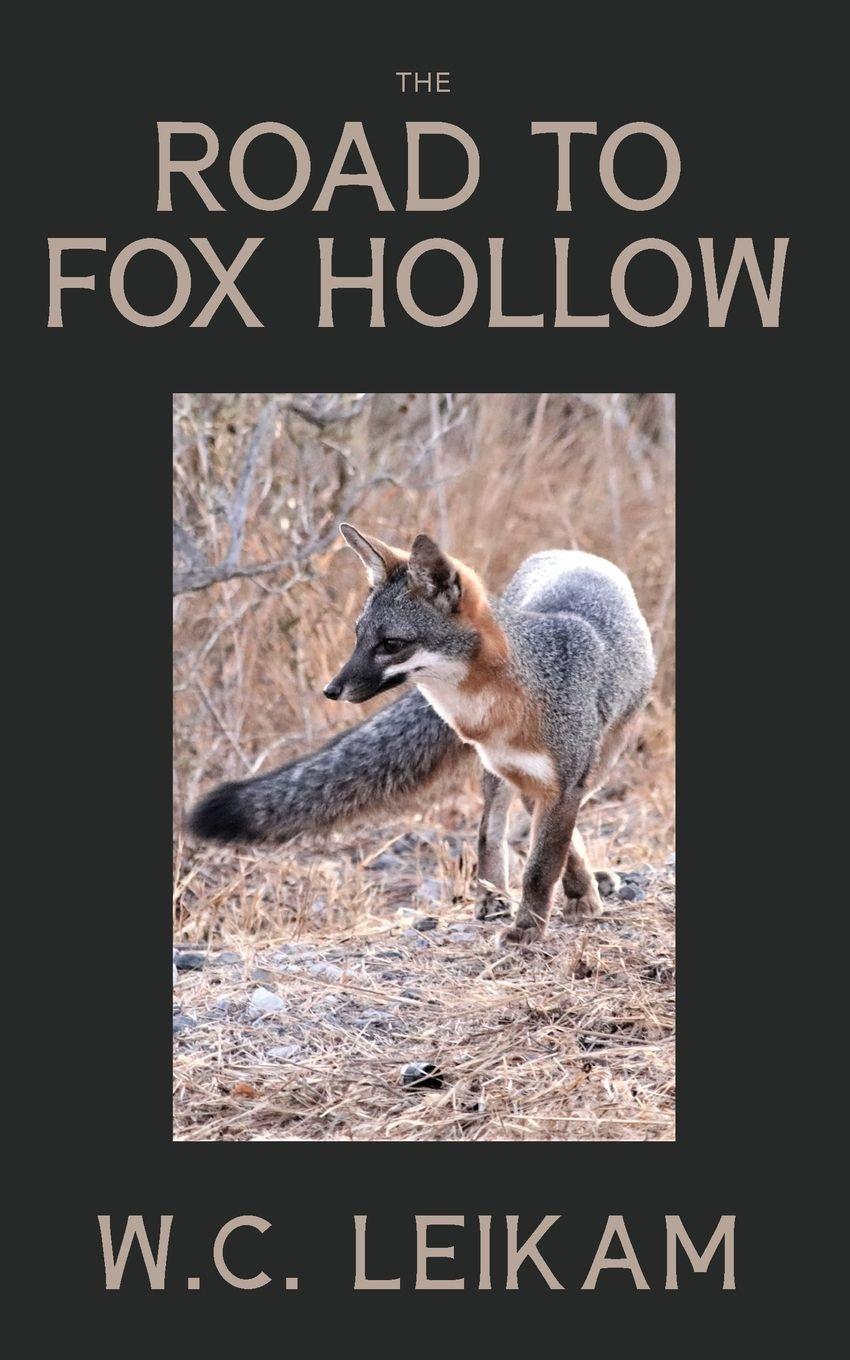 Vorderes Coverbild The Road to Fox Hollow