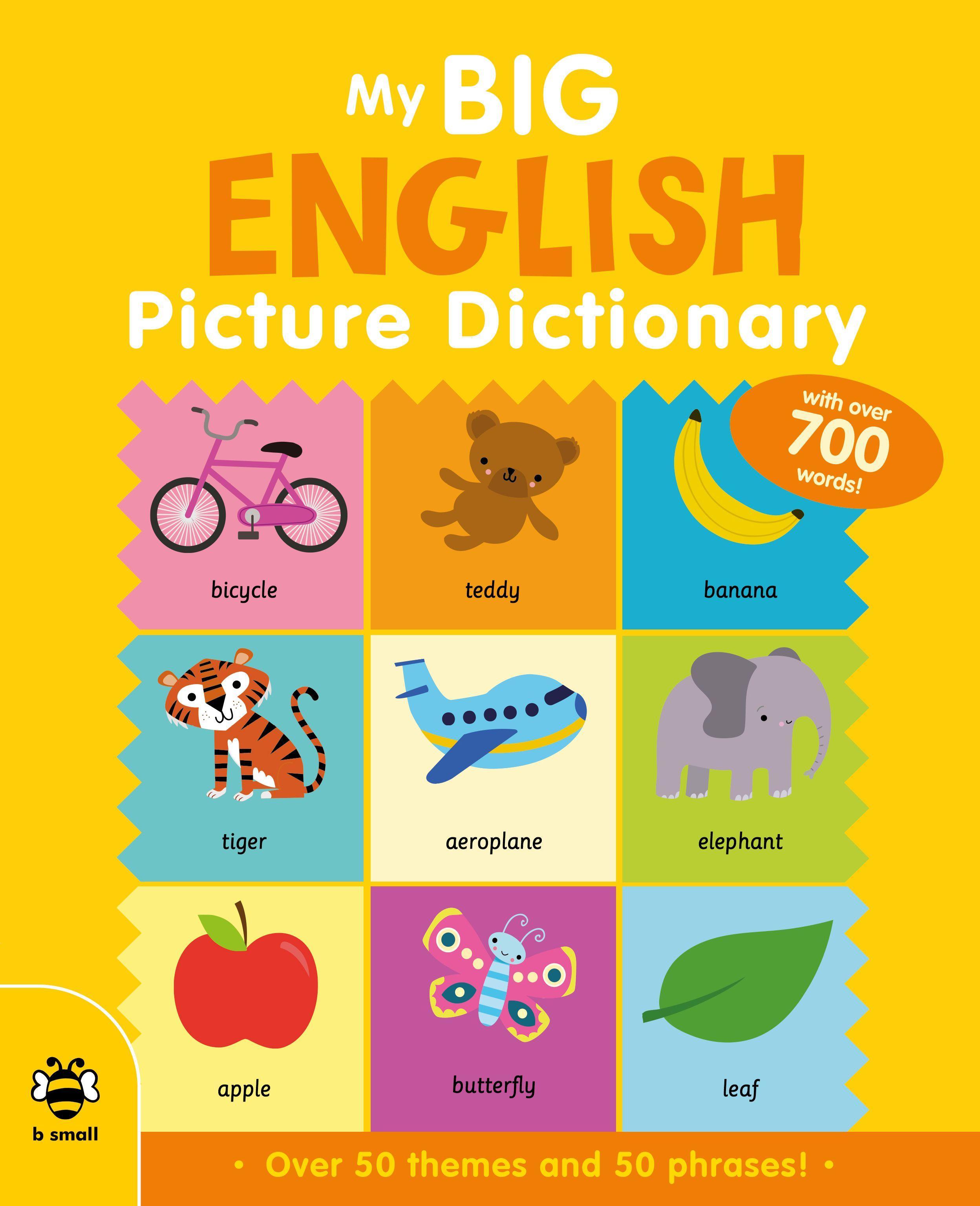 Vorderes Coverbild My Big English Picture Dictionary