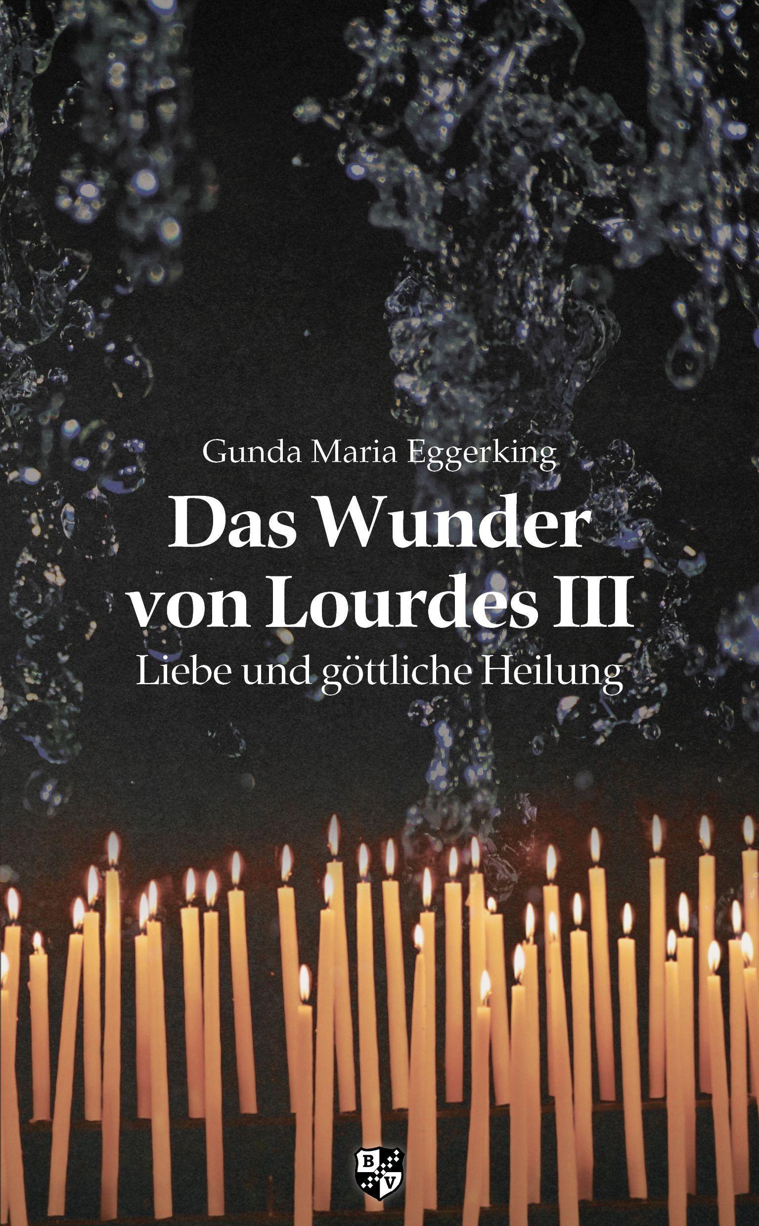 Vorderes Coverbild Das Wunder von Lourdes III