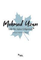Vorderes Coverbild Yitik Bir Askin Gölgesinde