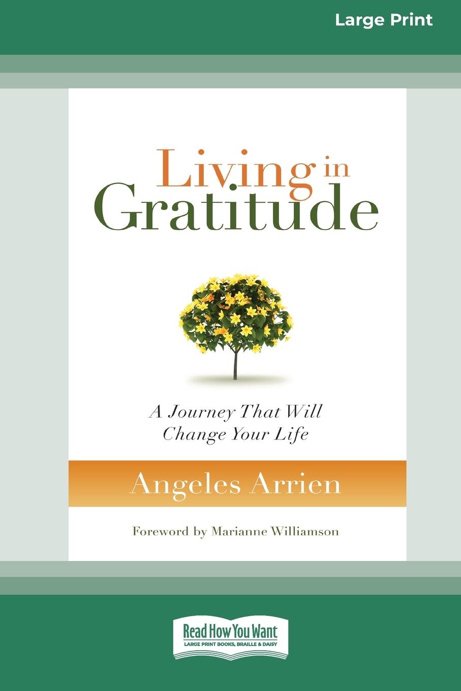 Vorderes Coverbild Living in Gratitude