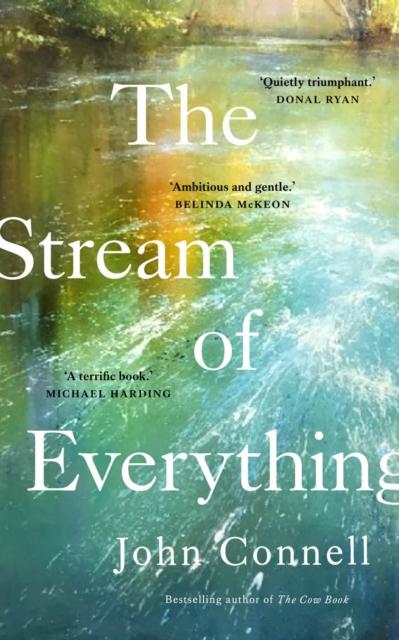 Vorderes Coverbild The Stream of Everything