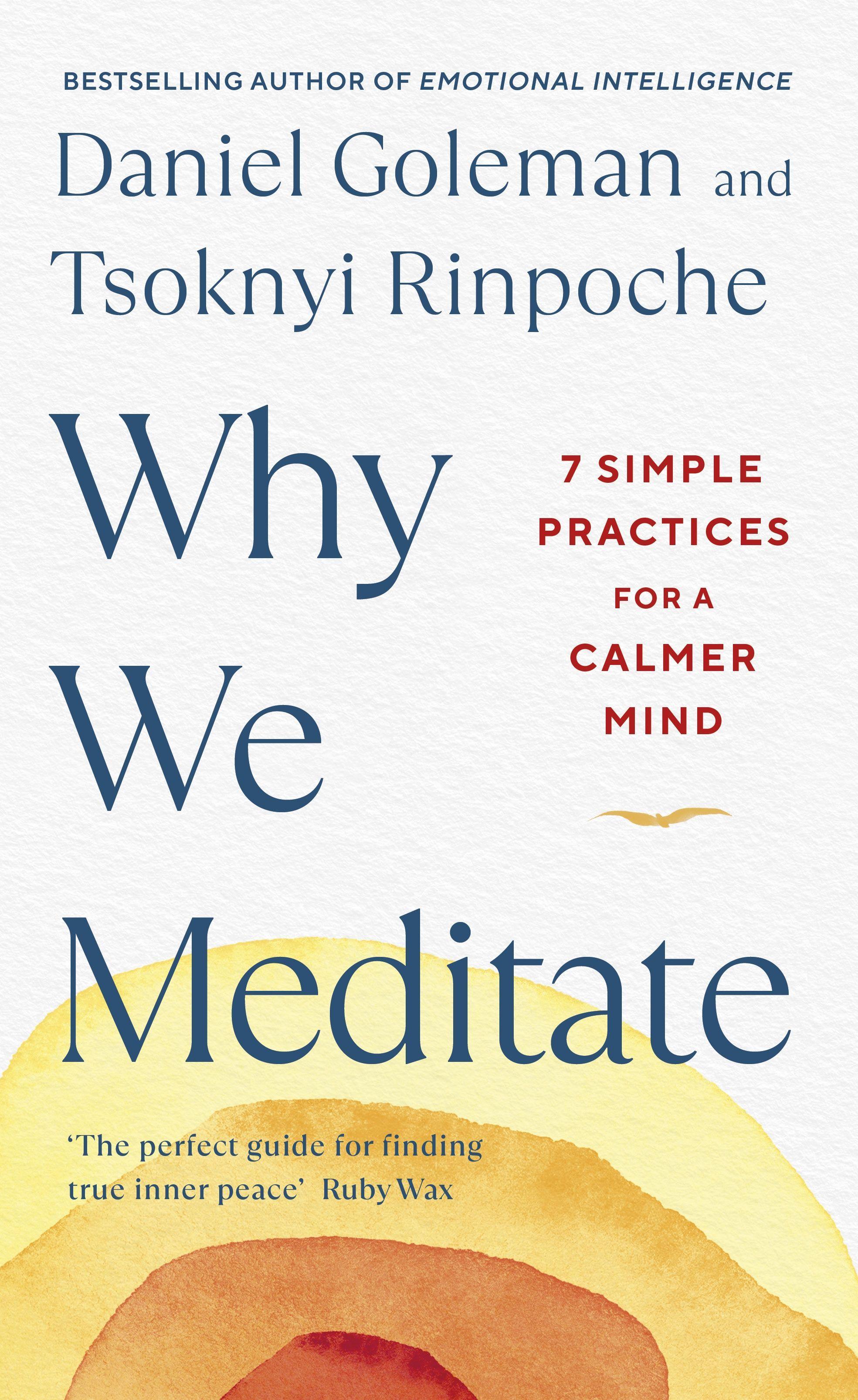 Beispielinhalt (Bild) Why We Meditate