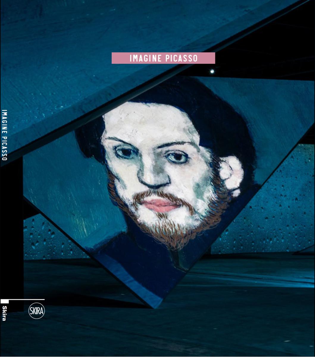 Vorderes Coverbild Imagine Picasso