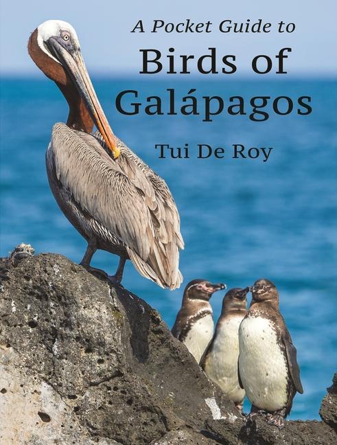 Vorderes Coverbild A Pocket Guide to Birds of Galápagos